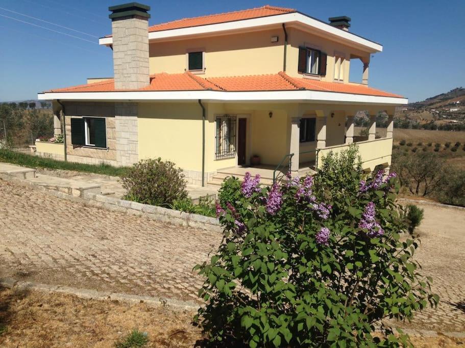 Вилла Casa Dos Copins Ламегу Экстерьер фото