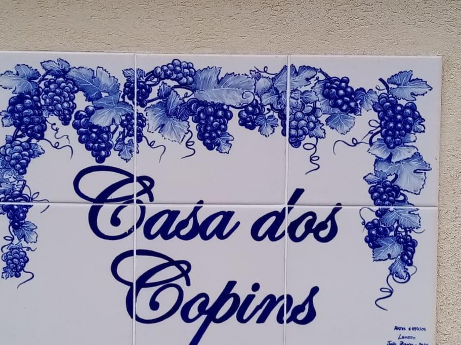 Вилла Casa Dos Copins Ламегу Экстерьер фото